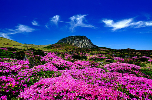 du lịch đảo Jeju